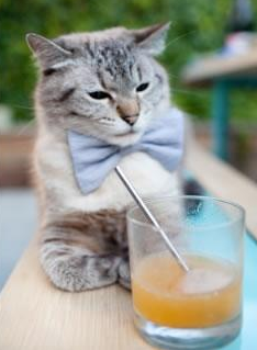 跨界传奇，北京队踏平掘金，拉文在意甲焦点战接管比赛