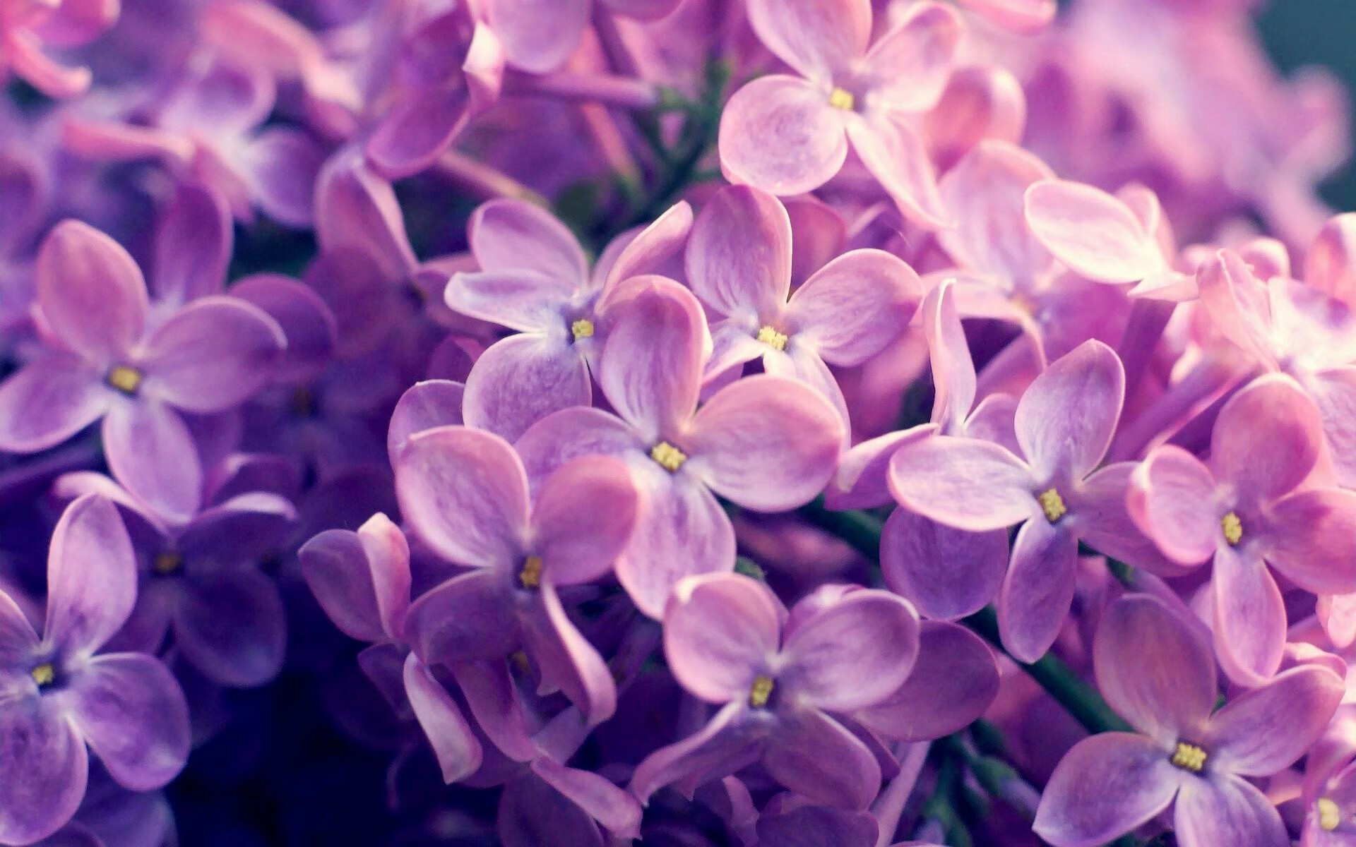 开云体育在线-淘汰赛的唯一法则，埃及的坚韧与厄德高的神迹