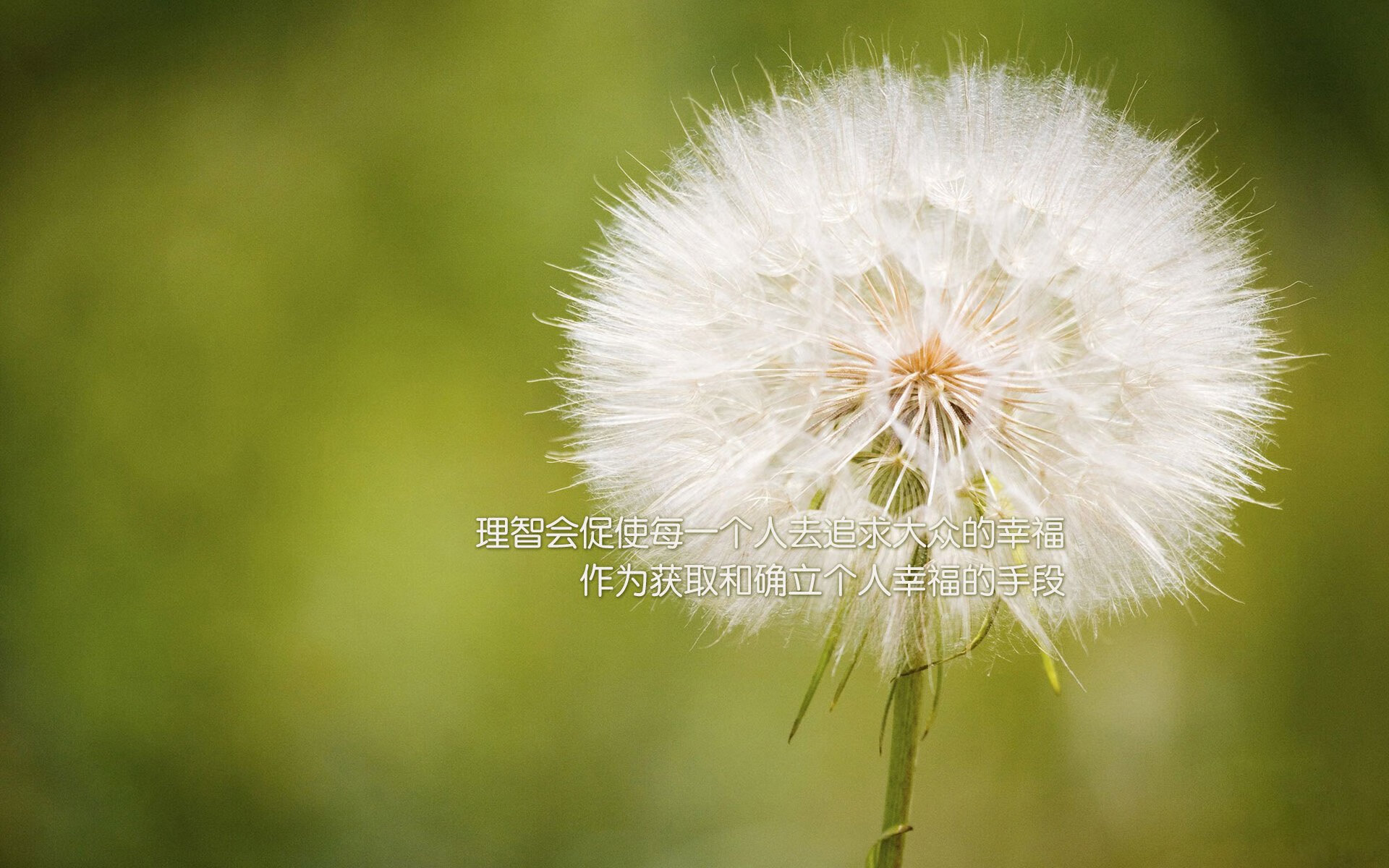 个人英雄与团队胜利,孙兴慜扛起全队,巴西掀翻摩纳哥的启示