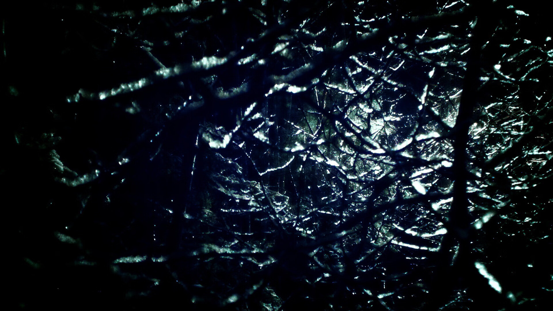 开云体育平台APP-权杖之争，当利拉德末节戴上王冠，国王于阵痛中粉碎雄鹿旧梦