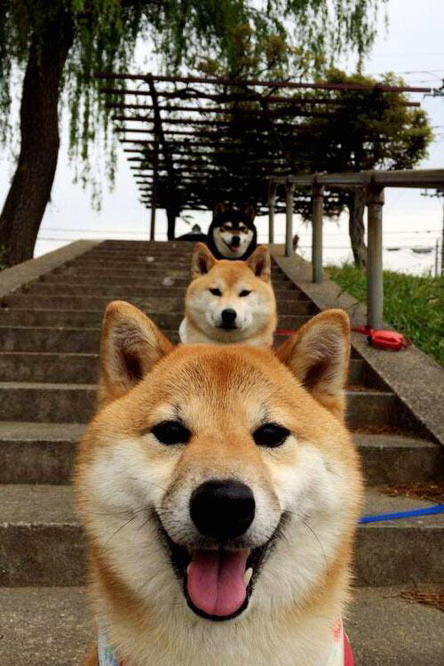 开云体育入口-法兰西之巅，NBA总决赛焦点与曼联传奇的跨界对决