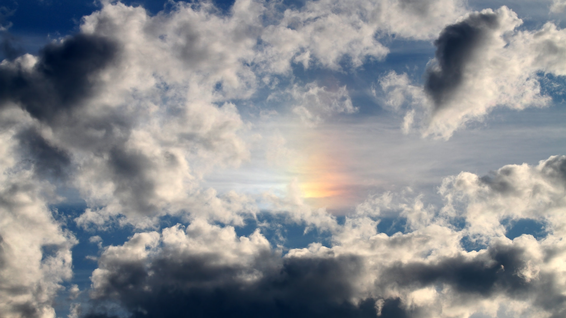 钢铁防线前的绚烂独舞,布伦森撕裂体系,灰熊终结雄鹿神话