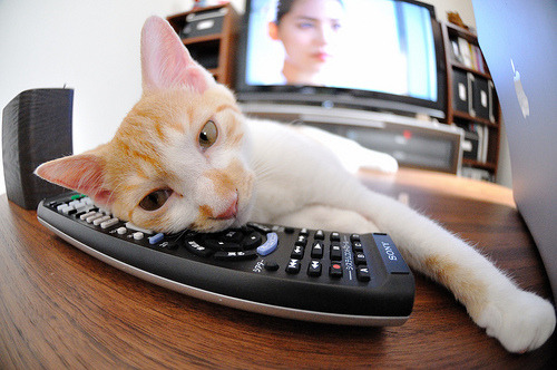 开云体育官网-绿茵琴弦，莫德里奇如何在对阵马里中演绎攻防两端的统治