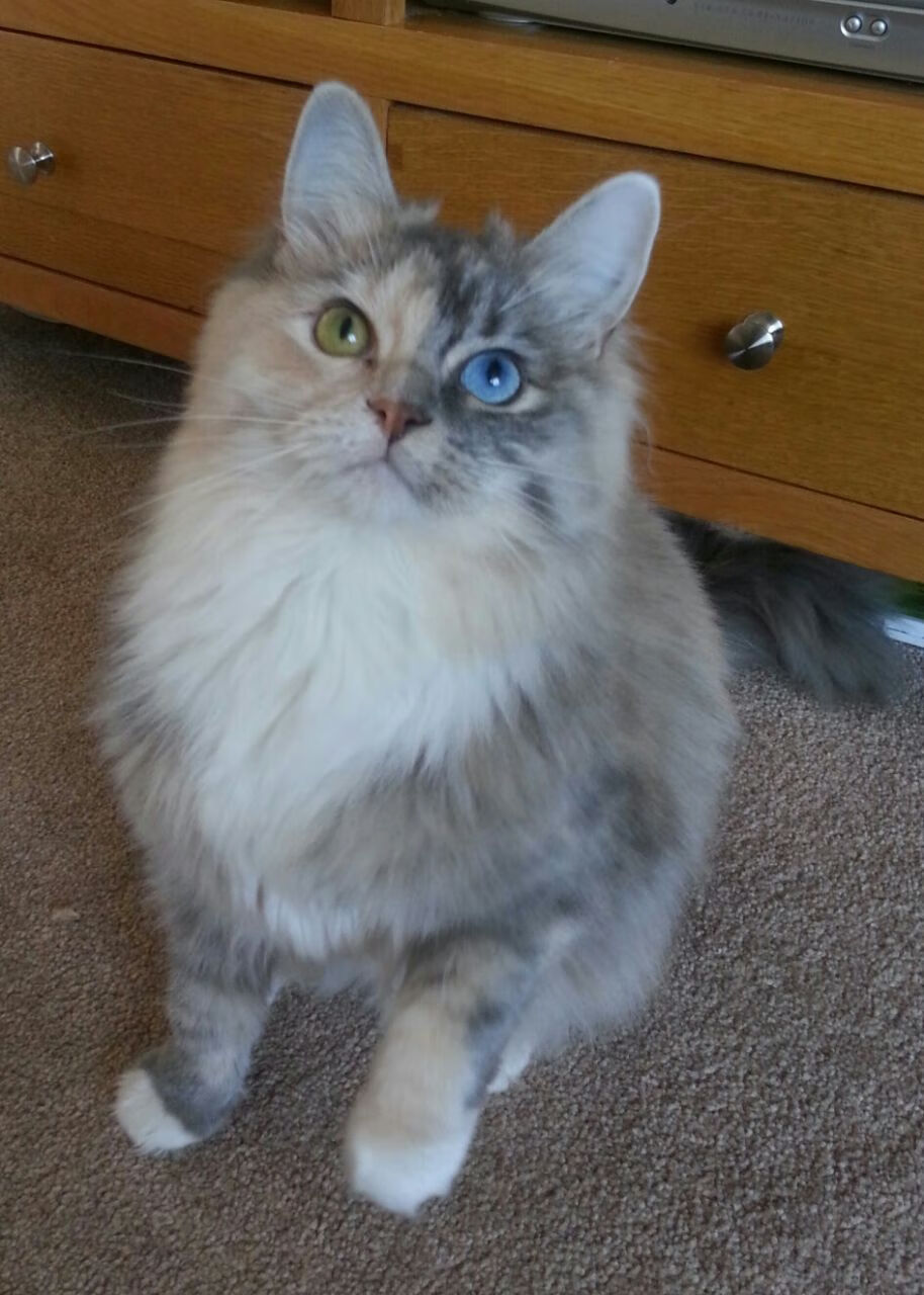 开云体育在线-从明尼苏达到马尼拉，一场爆冷如何锻造了2026年的世界杯主宰