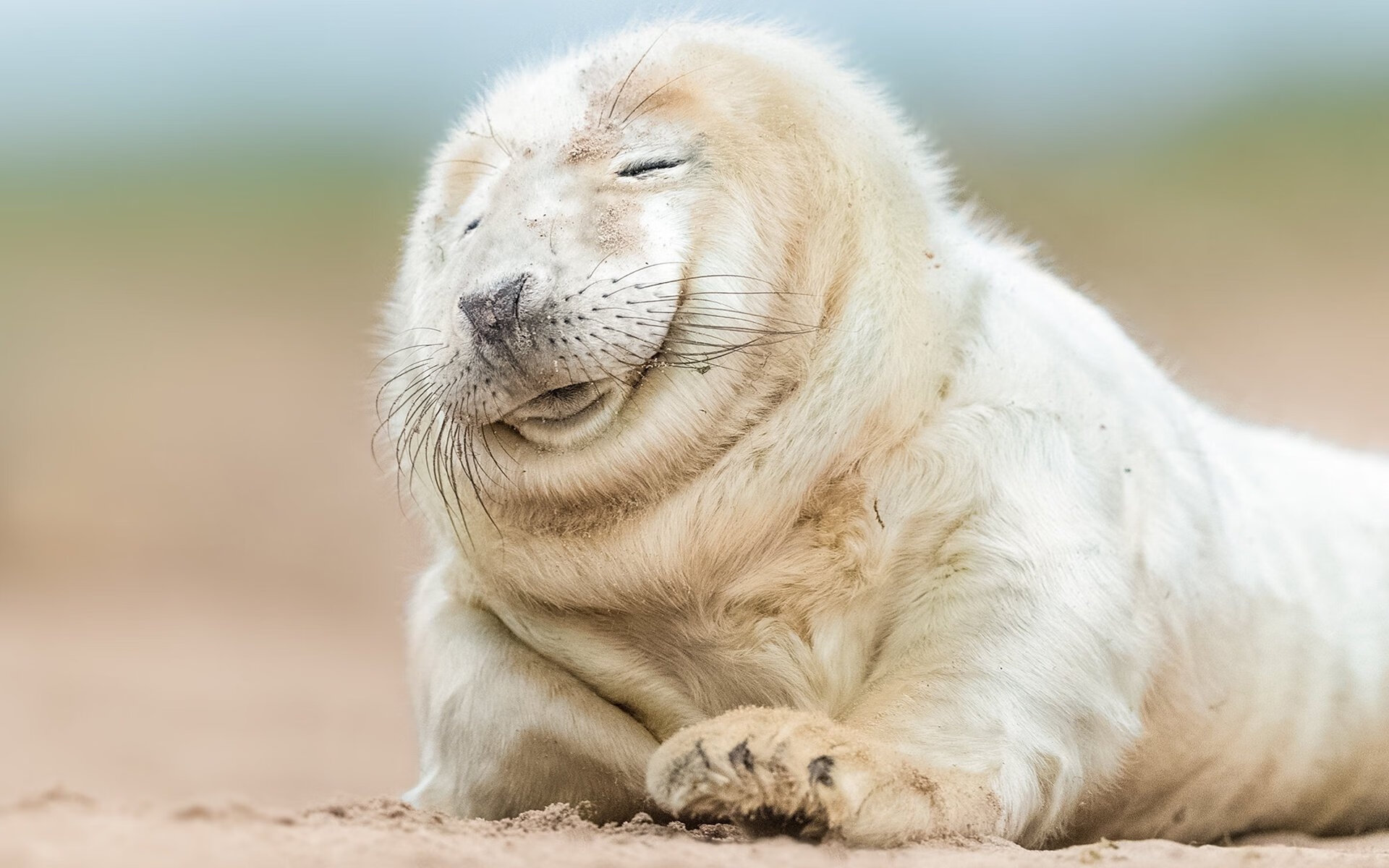 篮球世界的双重奏，步行者绝杀活塞，小贾伦欧冠半决赛接管比赛