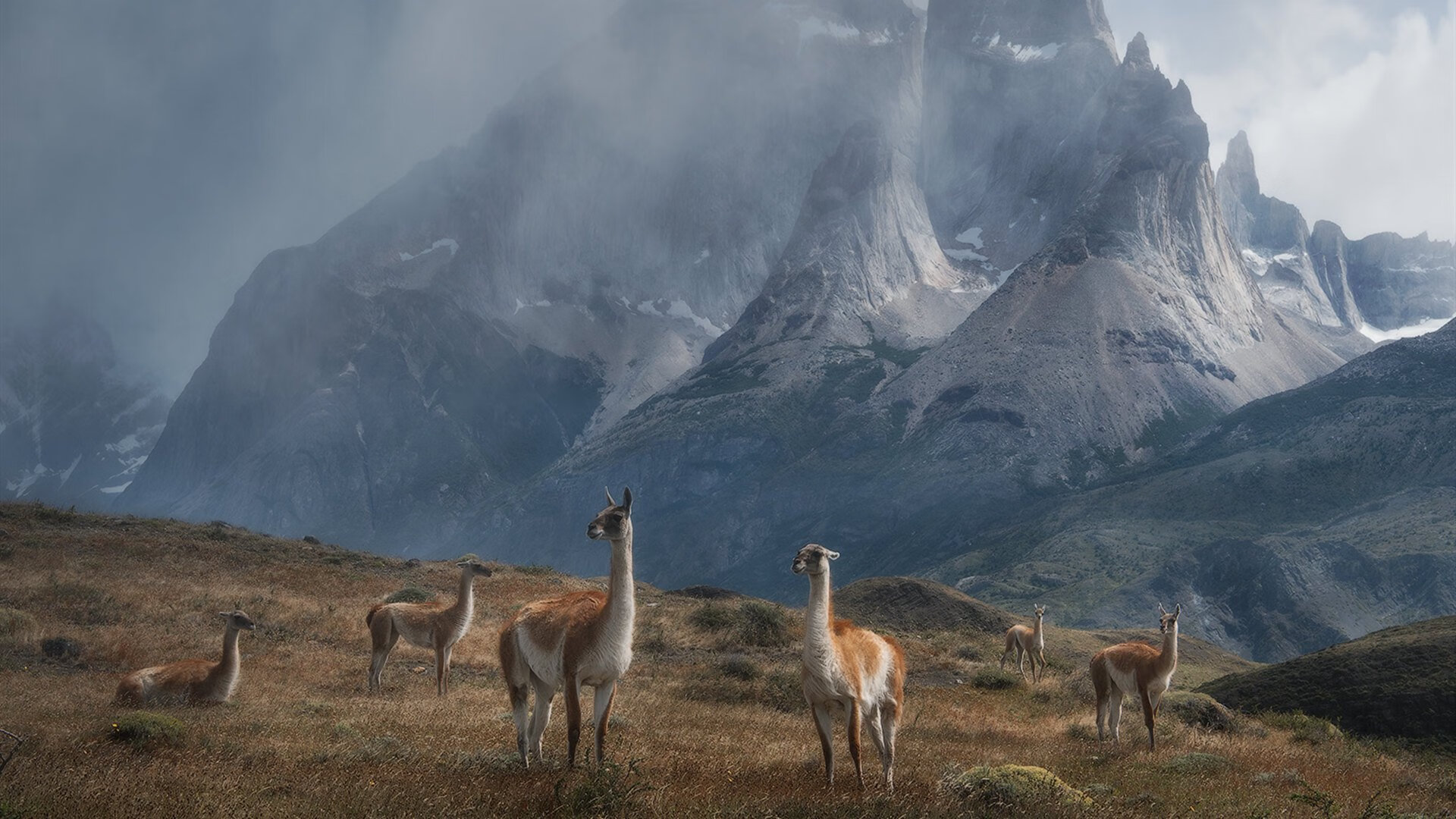 开云体育登录-楚阿梅尼一柱擎天，马赛战术洪流淹没克罗地亚风骨