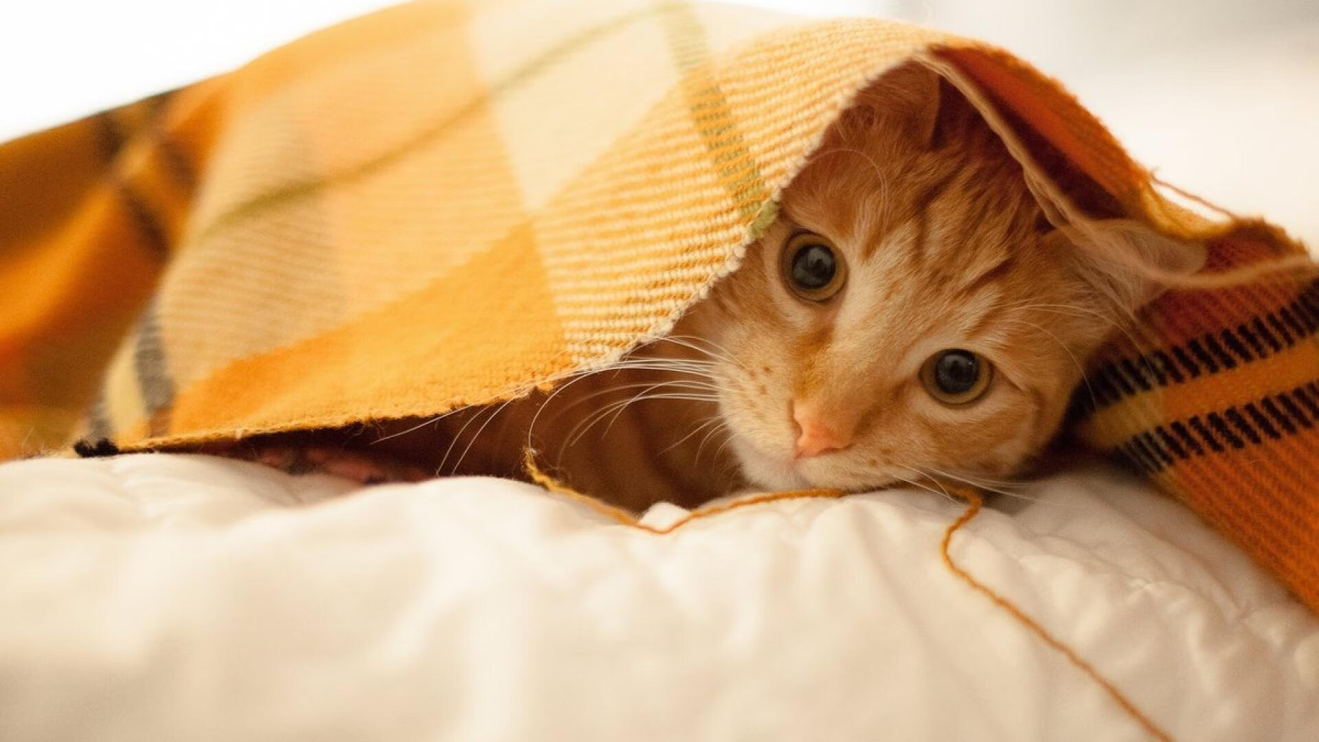 北欧寒冰最后一击,黄喜灿的绝杀时刻