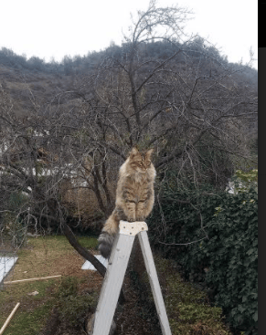 37分之夜,当时间在杜兰特指尖静止