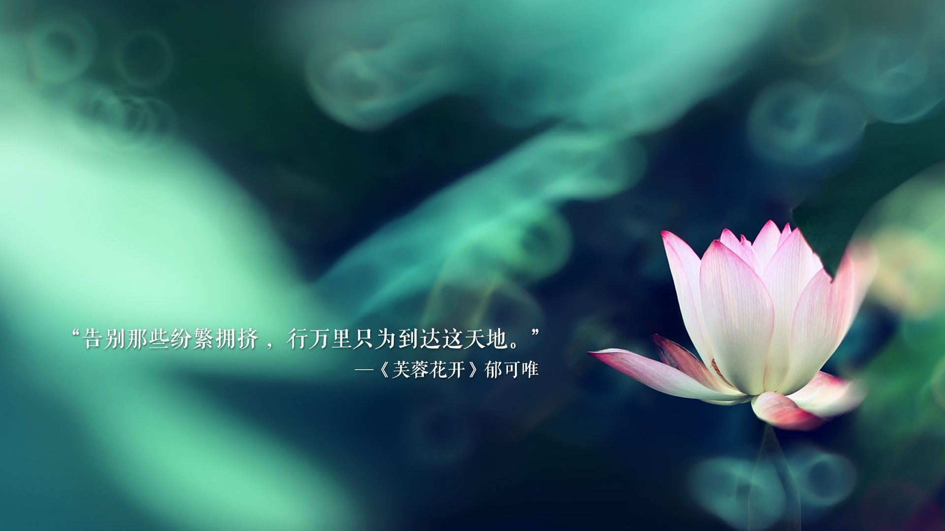 火山与冰山的致命冰火，当黑马狂奔撞上王朝崩塌—拉什福德一剑封喉，秘鲁用南美烈马精神踏碎中北美无冕之王的荆棘王冠