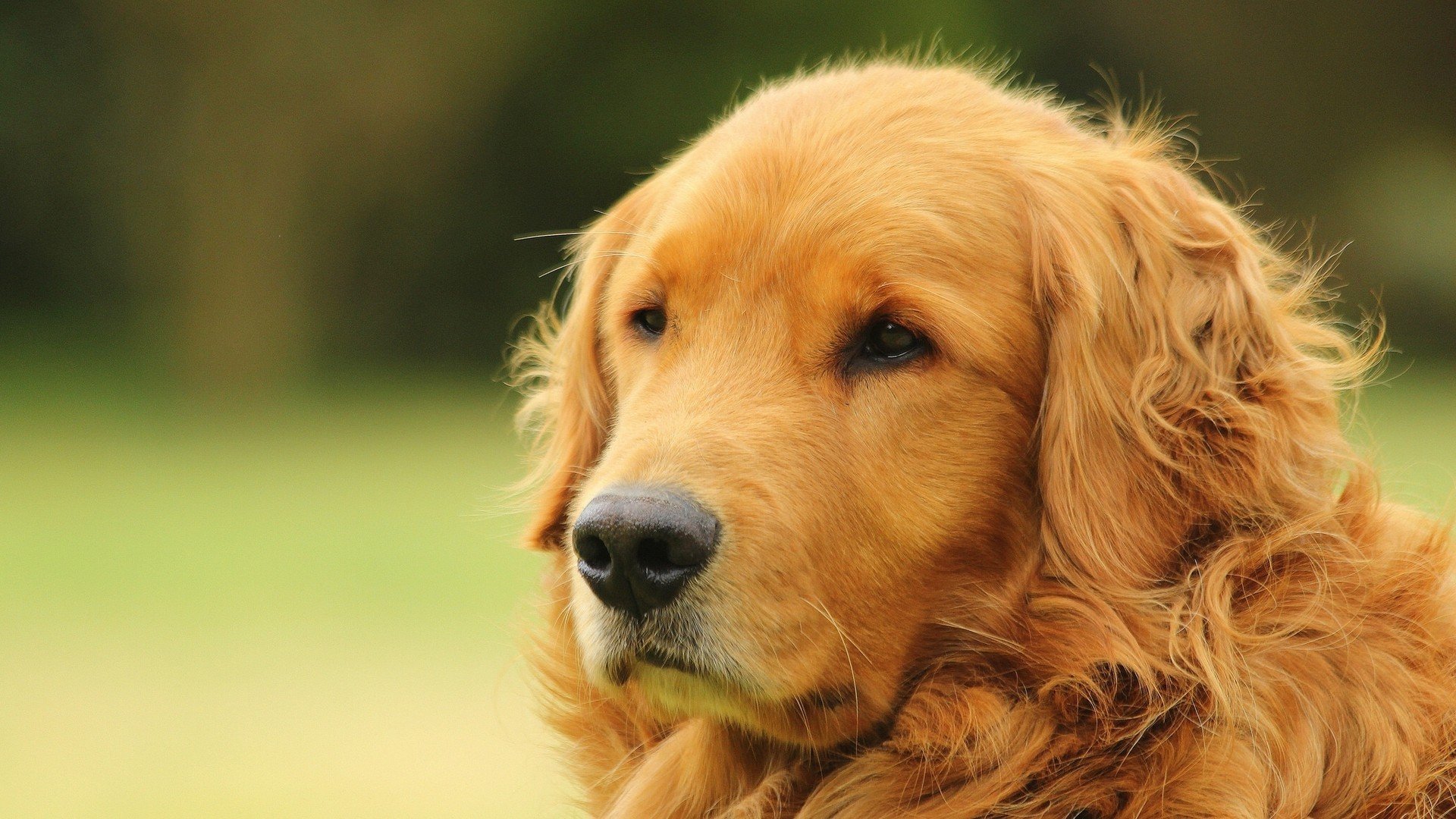 开云体育官网-唯一性寓言，当罗德里戈的左脚划破巴格达夜空—2026世界杯E组波兰VS伊拉克的不可复制瞬间