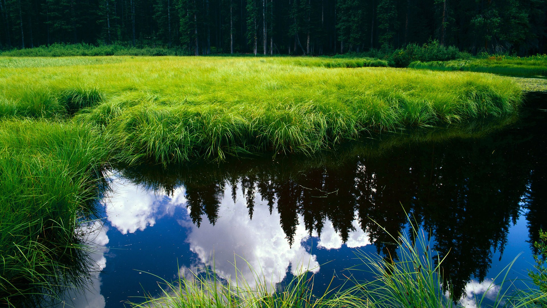 开云体育平台APP-双线生死劫，伊朗铁骑绝境突围，高卢雄鸡姆皇镇场—2026世界杯C组冰与火同夜奏响死亡之组最强音