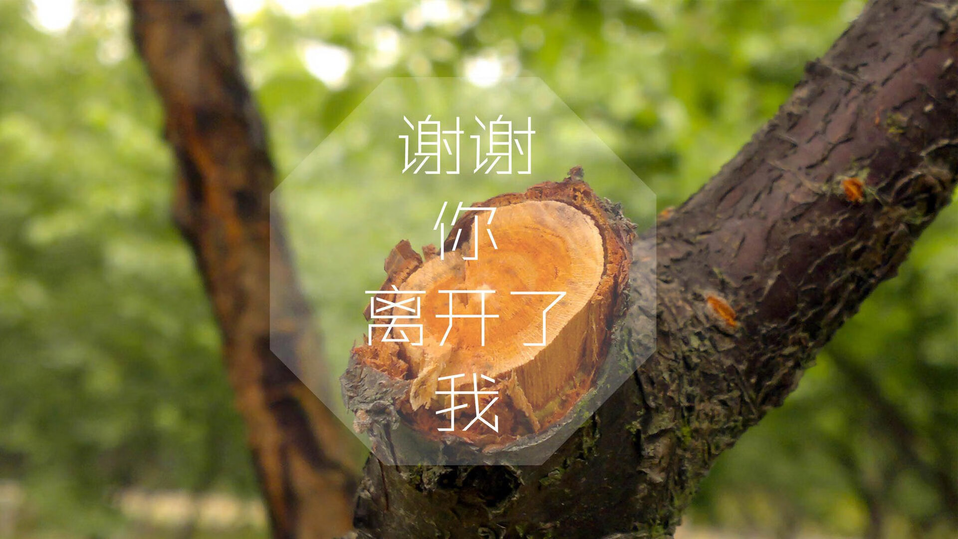 美加墨世界杯焦点战，意大利狂潮碾压智利，阿诺德一人导演进攻盛宴