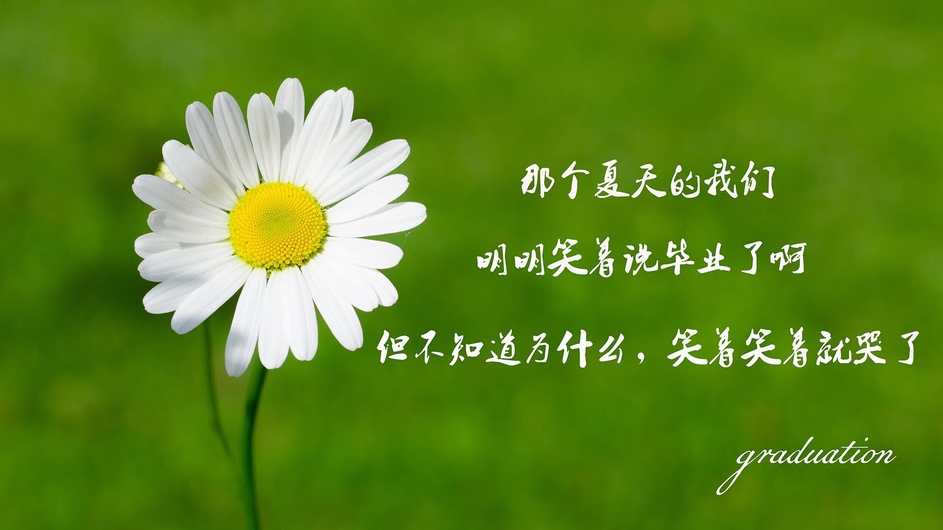 蓝衣防线，一夕成灰，2026世界杯H组，比利时技术性碾压意大利，京多安与门神的唯一剧本