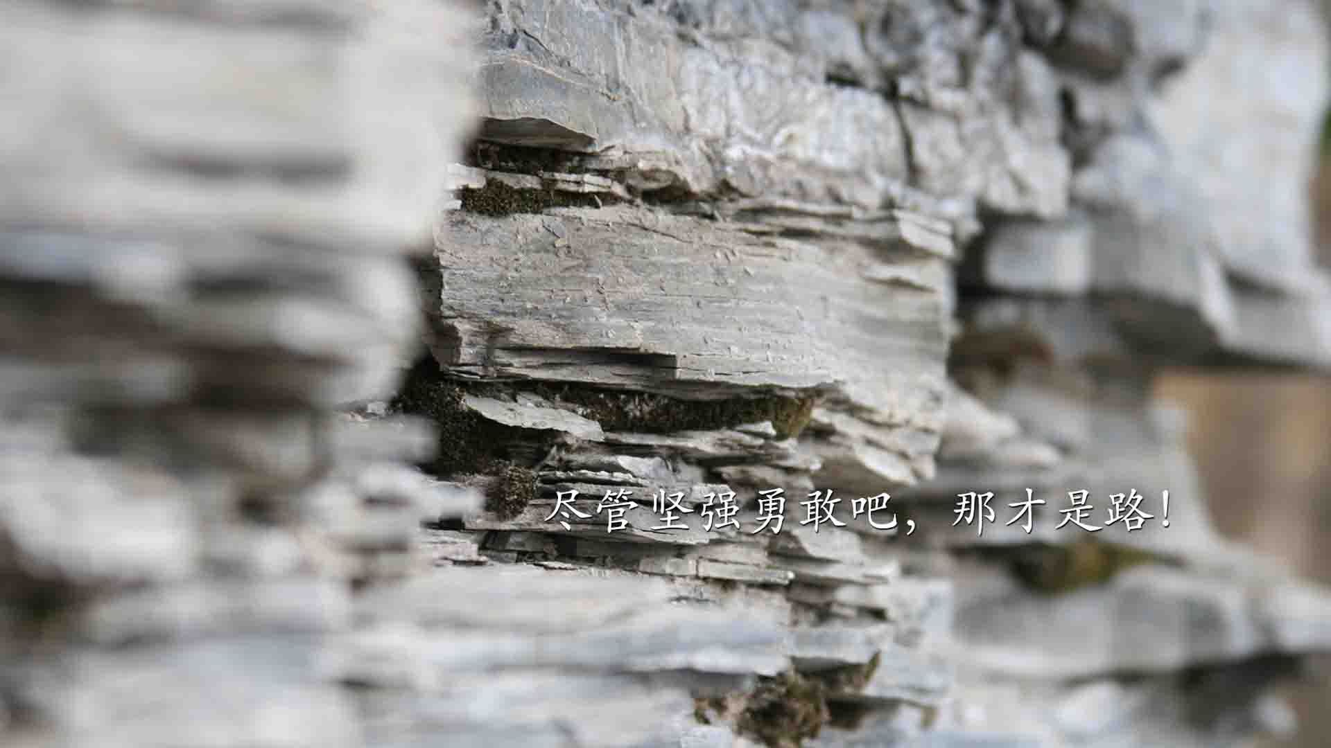 开云体育平台APP-2026，罗马奥林匹克之夜，当凯恩的三狮之魂点燃亚平宁，葡萄牙的黄金一代轰然落幕