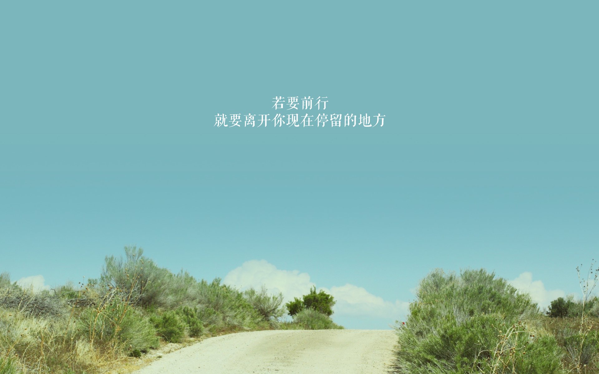 唯一性，2026世界杯C组，一场由局外人坎塞洛撕裂的秩序与黑马的史诗绝唱
